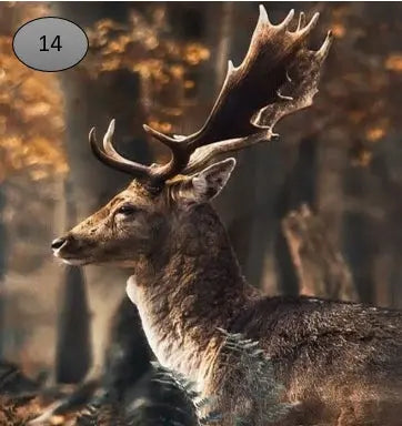 Onderzetters nr 14 O zo sfeervol