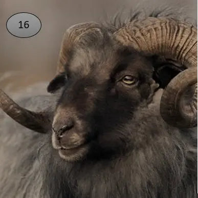 Onderzetter nr 16 O zo sfeervol