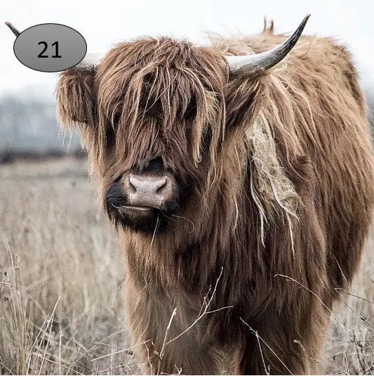 Onderzetter nr 21 O zo sfeervol