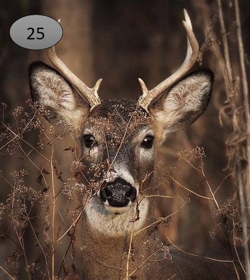 Onderzetter nr 25 - O zo sfeervol