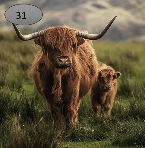 Onderzetter nr 31 O zo sfeervol