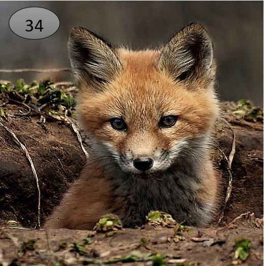 Onderzetter nr 34 - O zo sfeervol