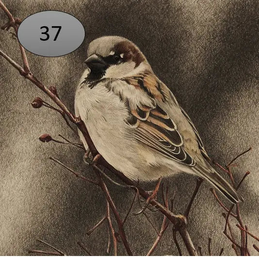 Onderzetter nr 37 O zo sfeervol