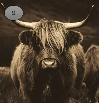 Onderzetter nr 9 O zo sfeervol