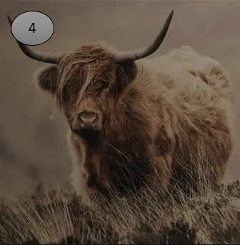 Onderzetter nr 4 O zo sfeervol