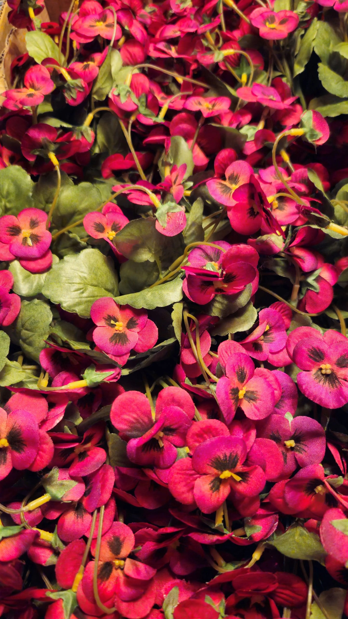 Kunst Viooltjes in meerdere kleuren! O zo sfeervol