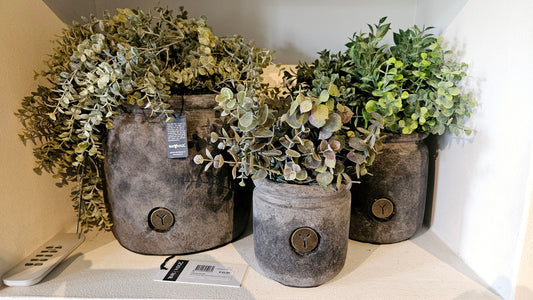 Brynxz Online 2026 - Brynxz Online By O zo sfeervol