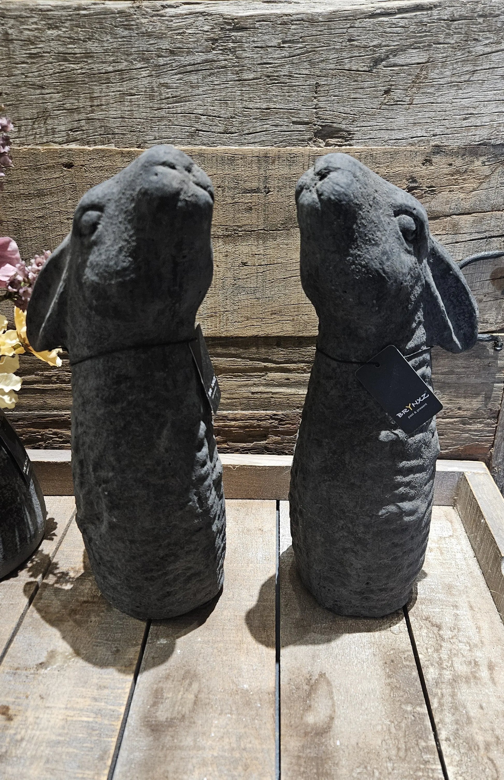 Brynxz Standing Haze M Brynxz Online