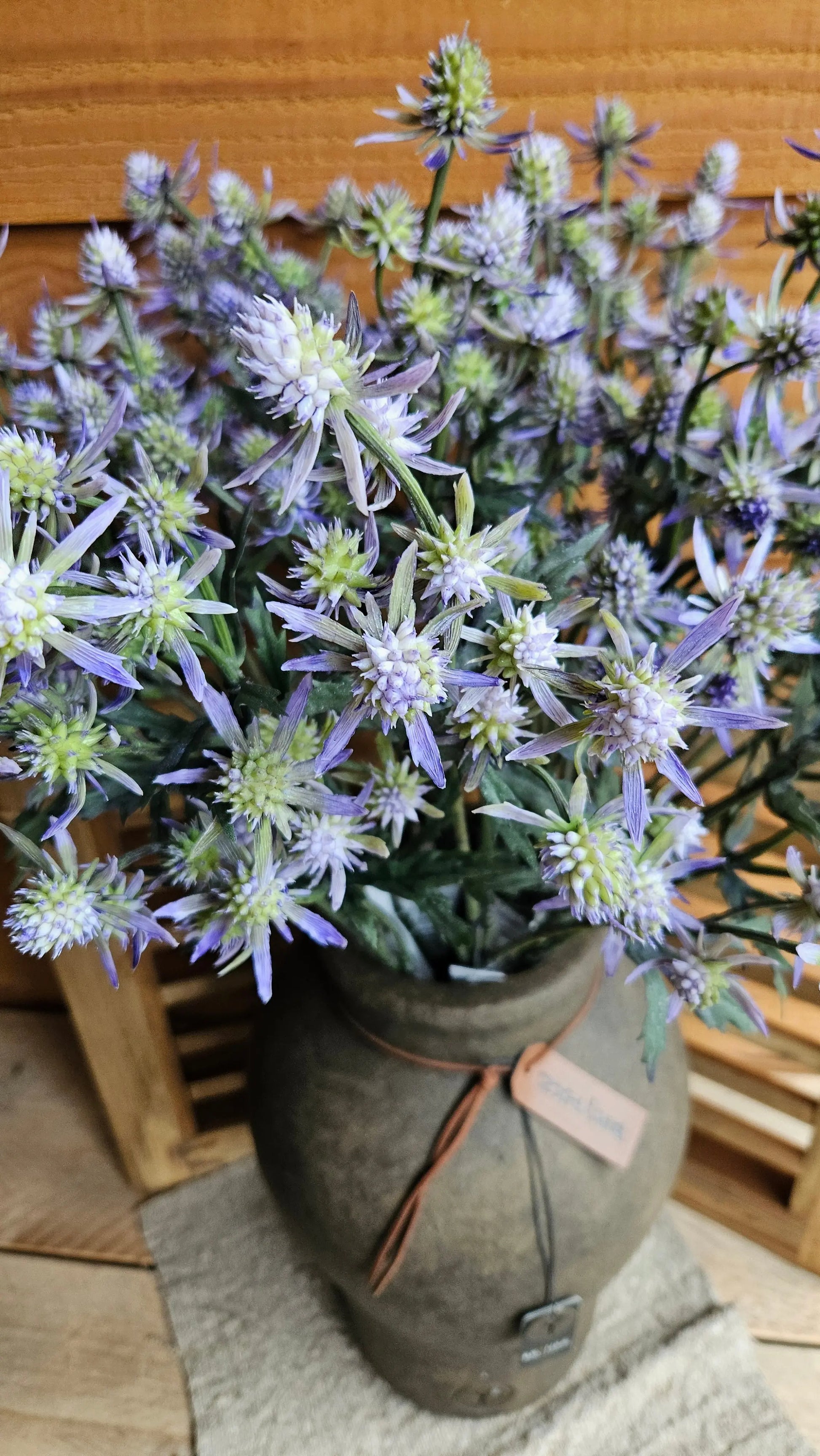 Distel zacht paarse kleur O zo sfeervol