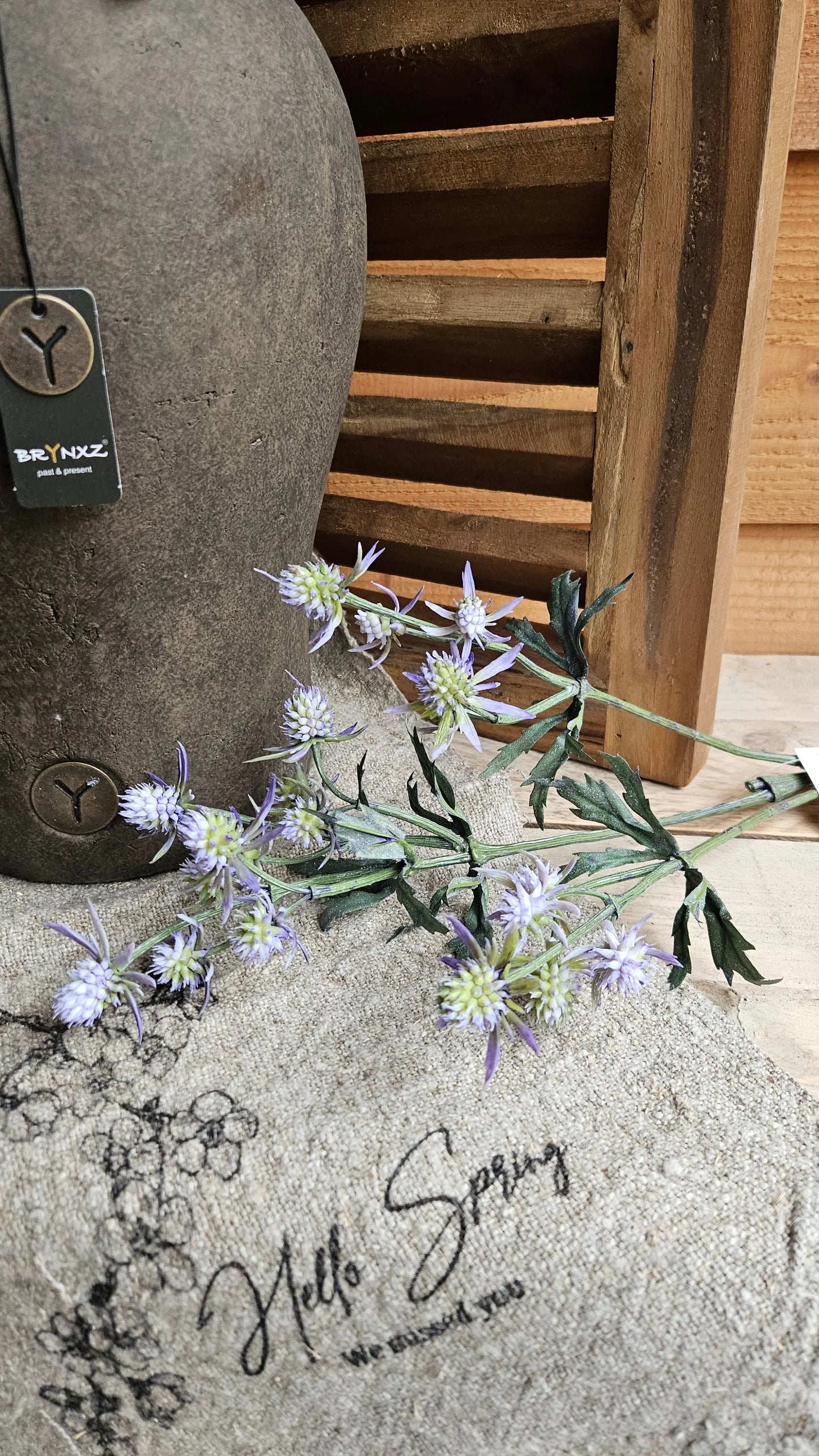 Distel zacht paarse kleur O zo sfeervol