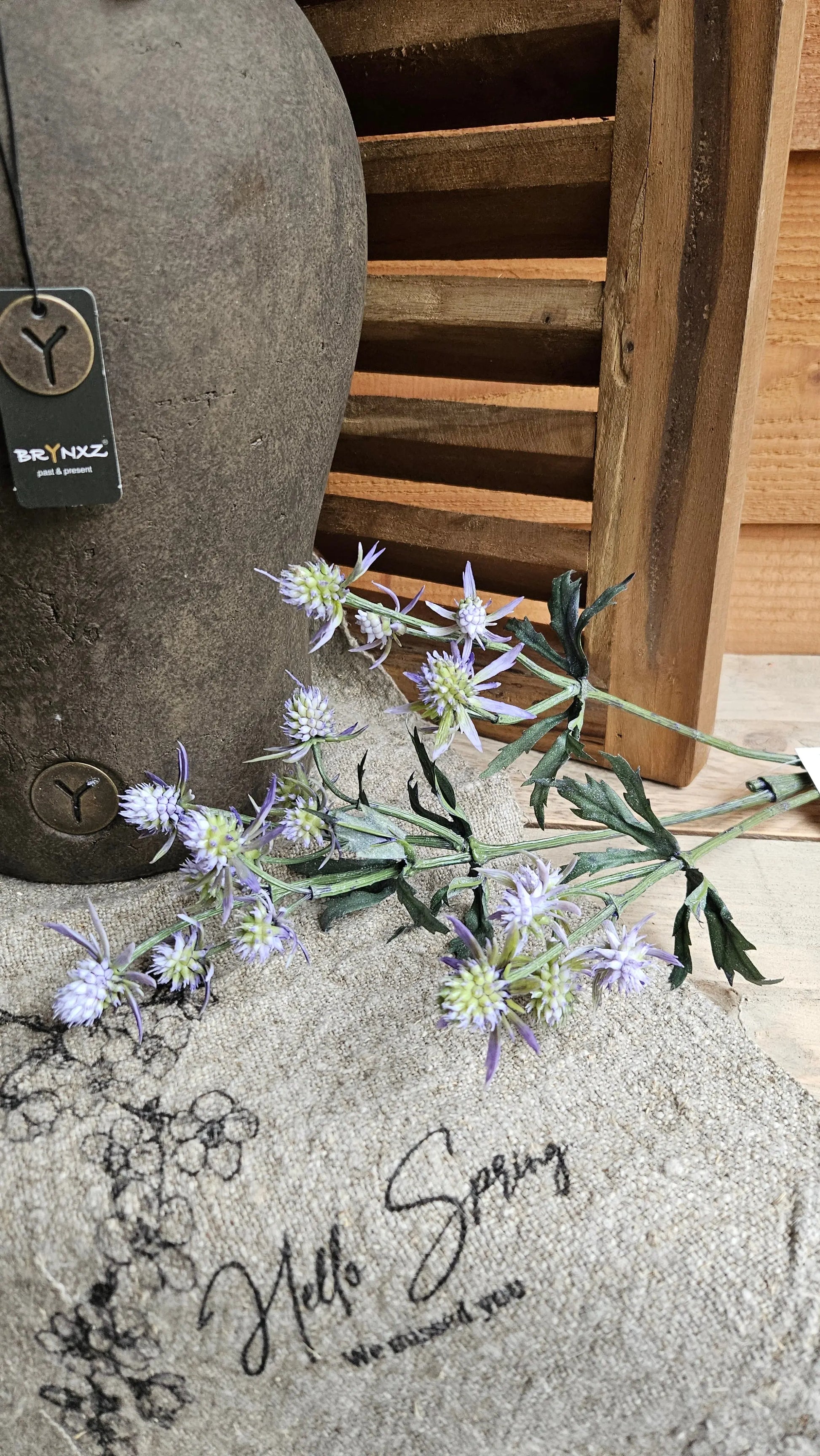 Distel zacht paarse kleur O zo sfeervol