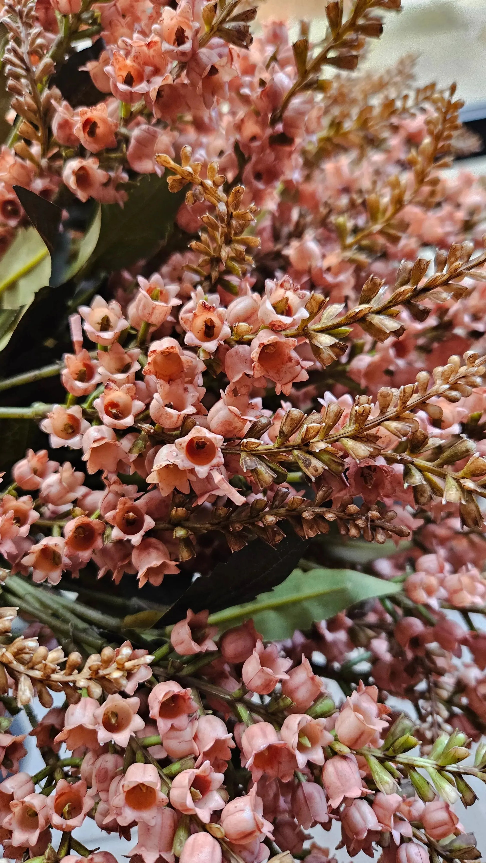 Brynxz Pieris Spring Sober 55 cm sfeerfoto – kunstbloemen | Brynxzonline.nl