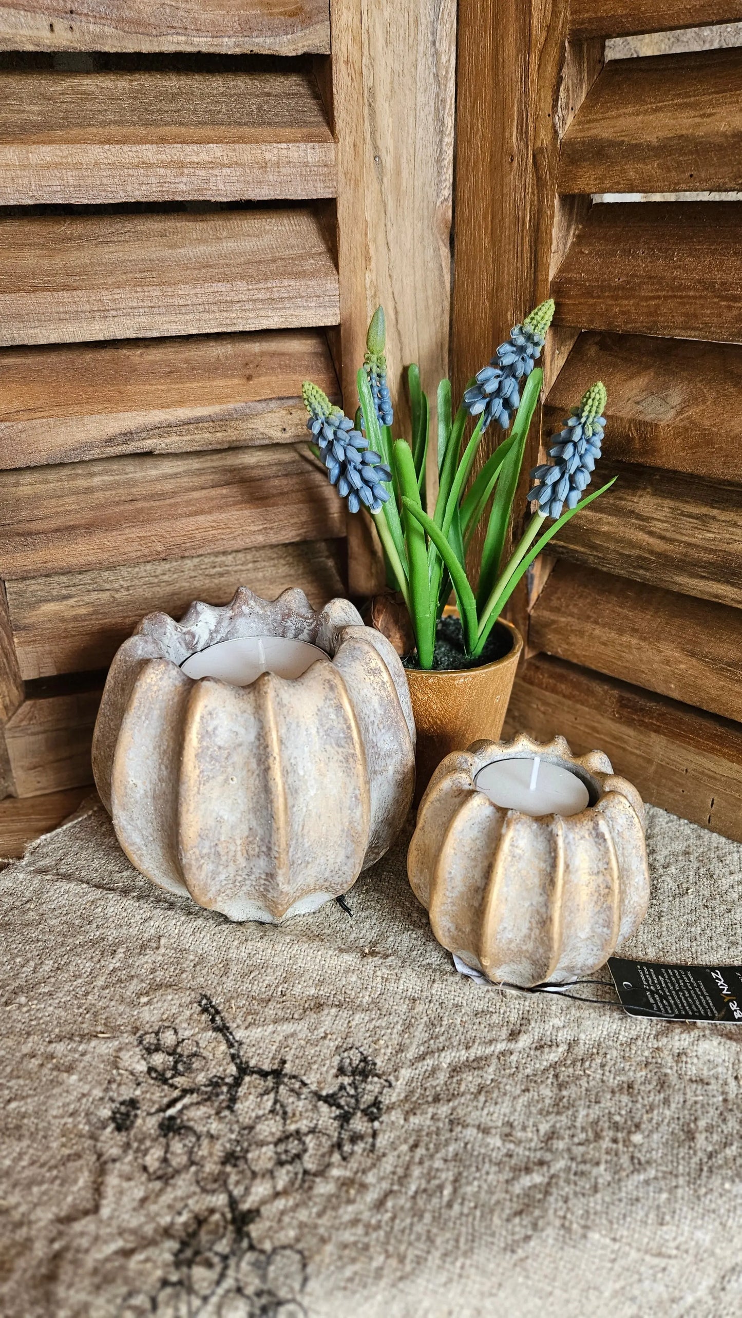 Brynxz set of 2 Tealights Pumpkin – Brynxz waxinelichthouder | Brynxzonline.nl