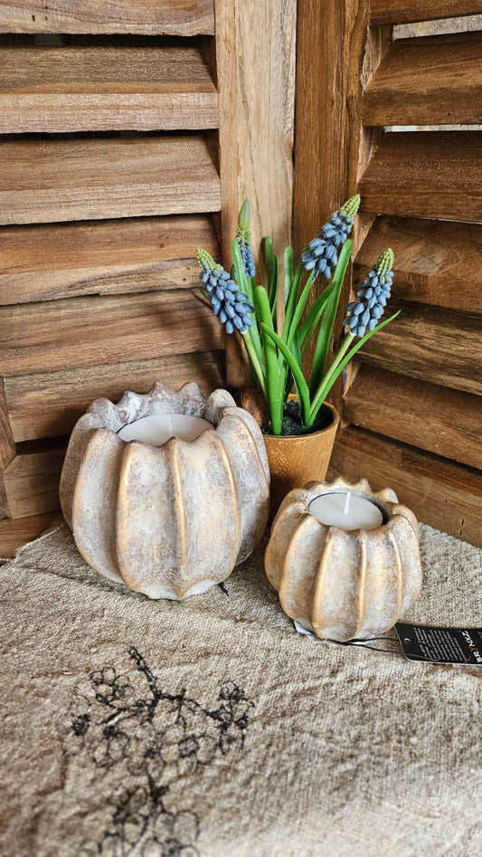 Brynxz set of 2 Tealights Pumpkin Brynxz Online