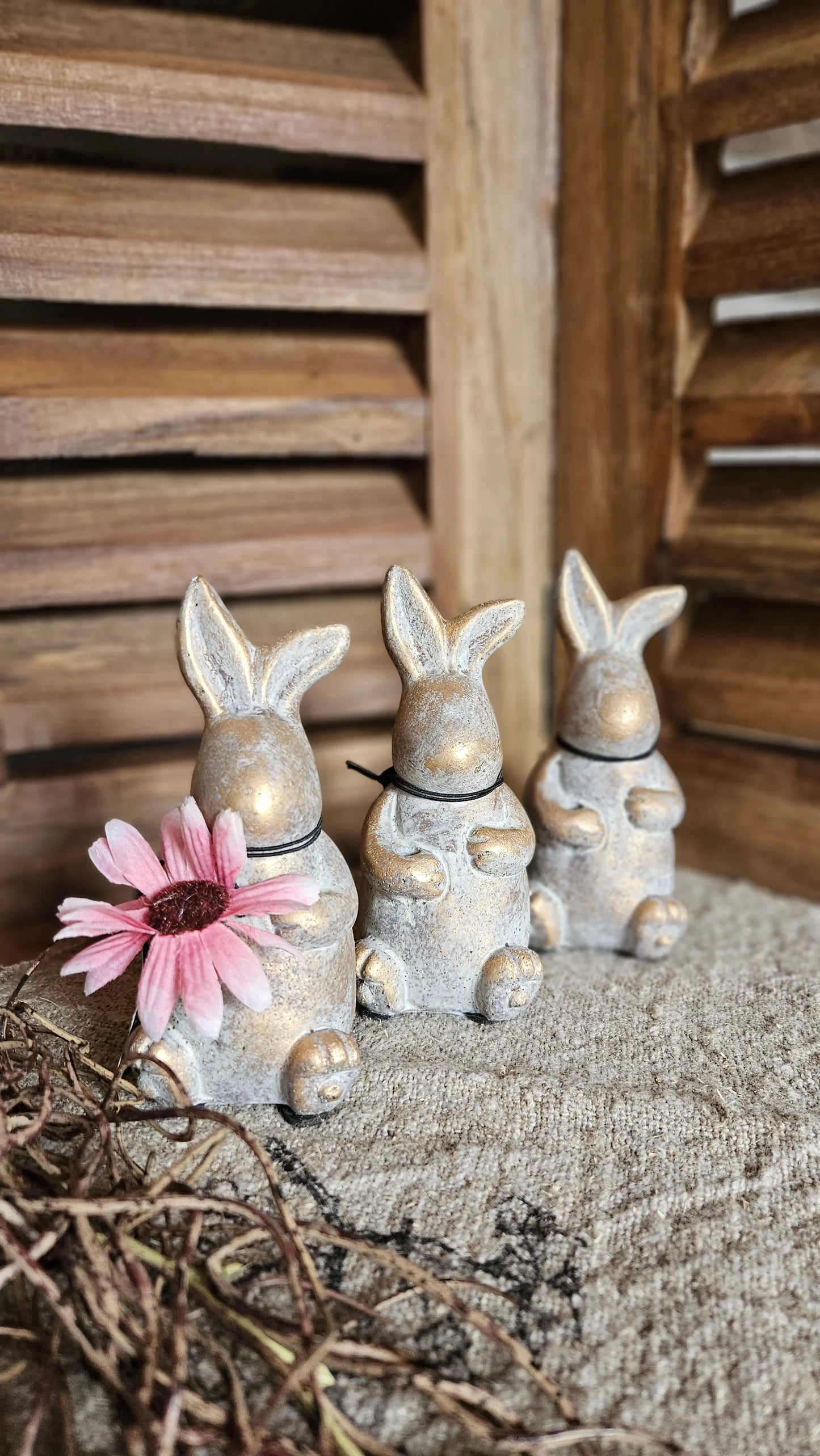 Brynxz Sitting Hare Basic M Brynxz Online