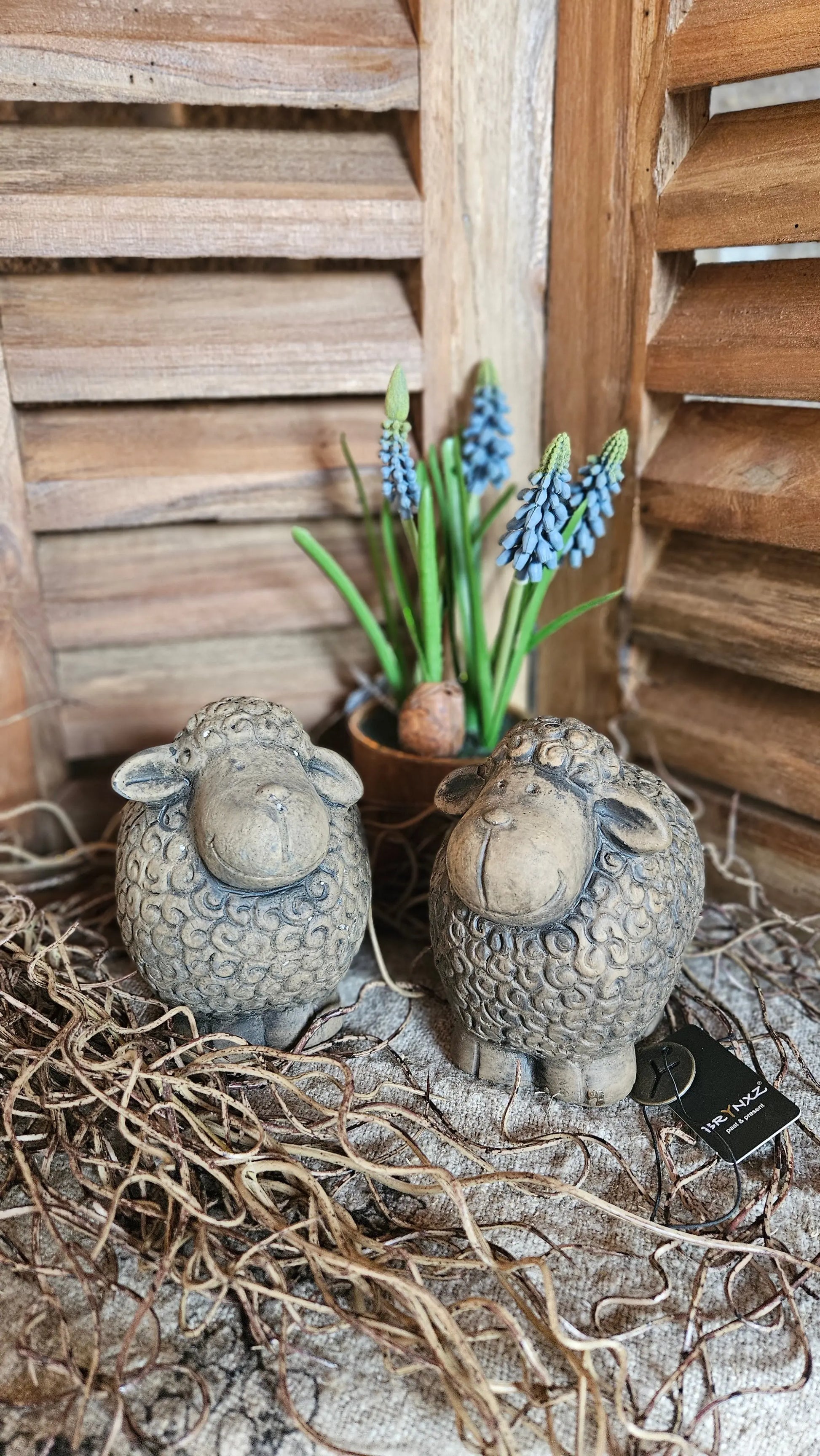 Brynxz Funny Sheep set van 2 – Brynxz schapen | Brynxzonline.nl