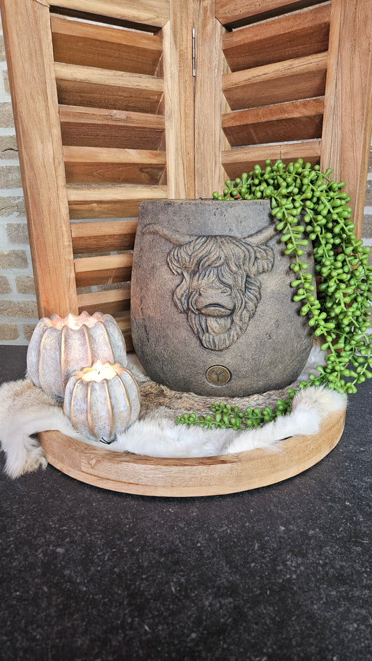 Brynxz Planter Oval Scotty M