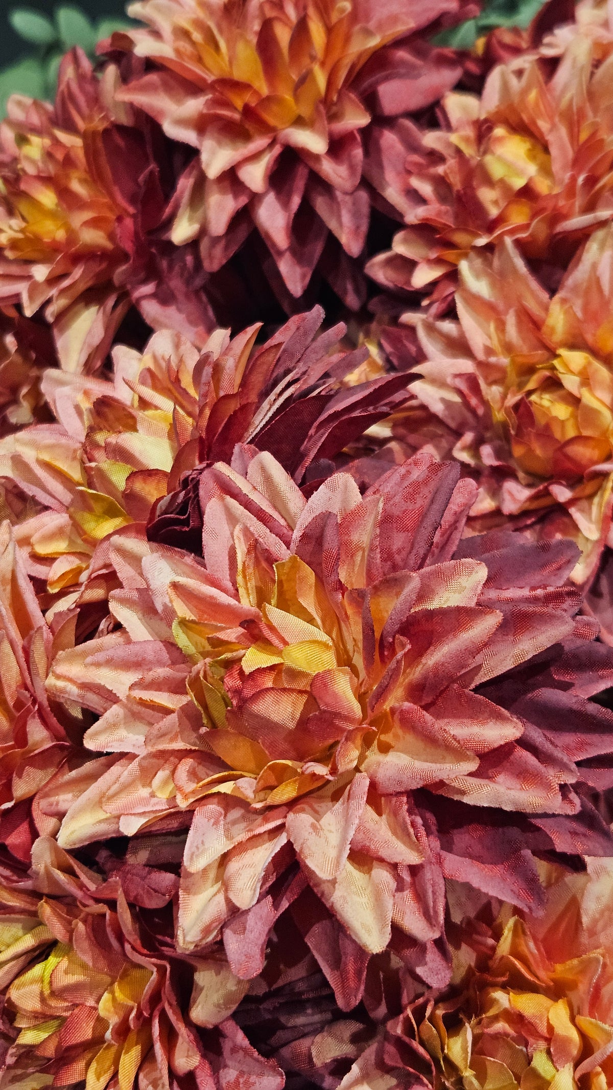 Sylxz Aster Pinkrange