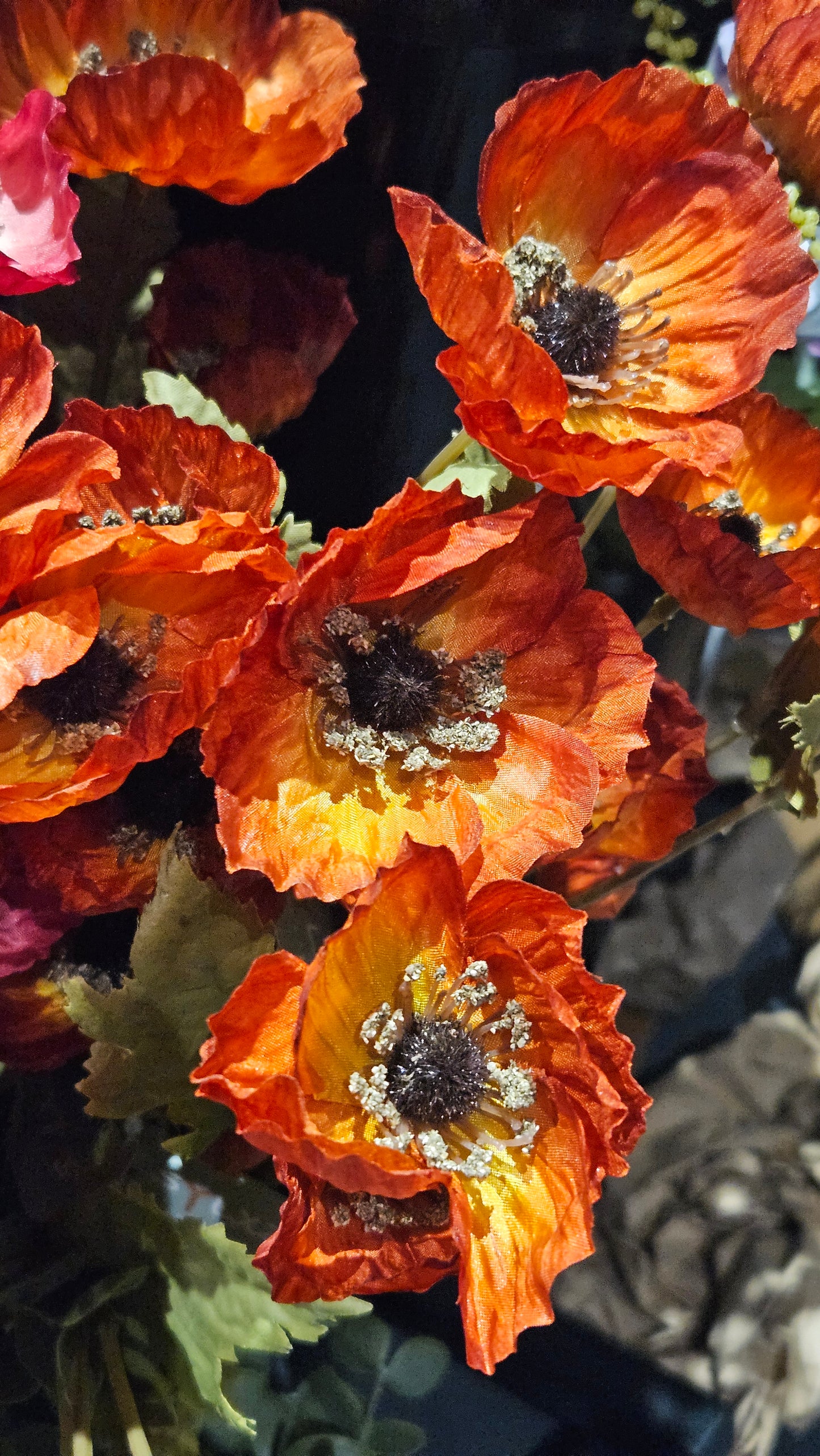 Sylxz Poppy Autumn range