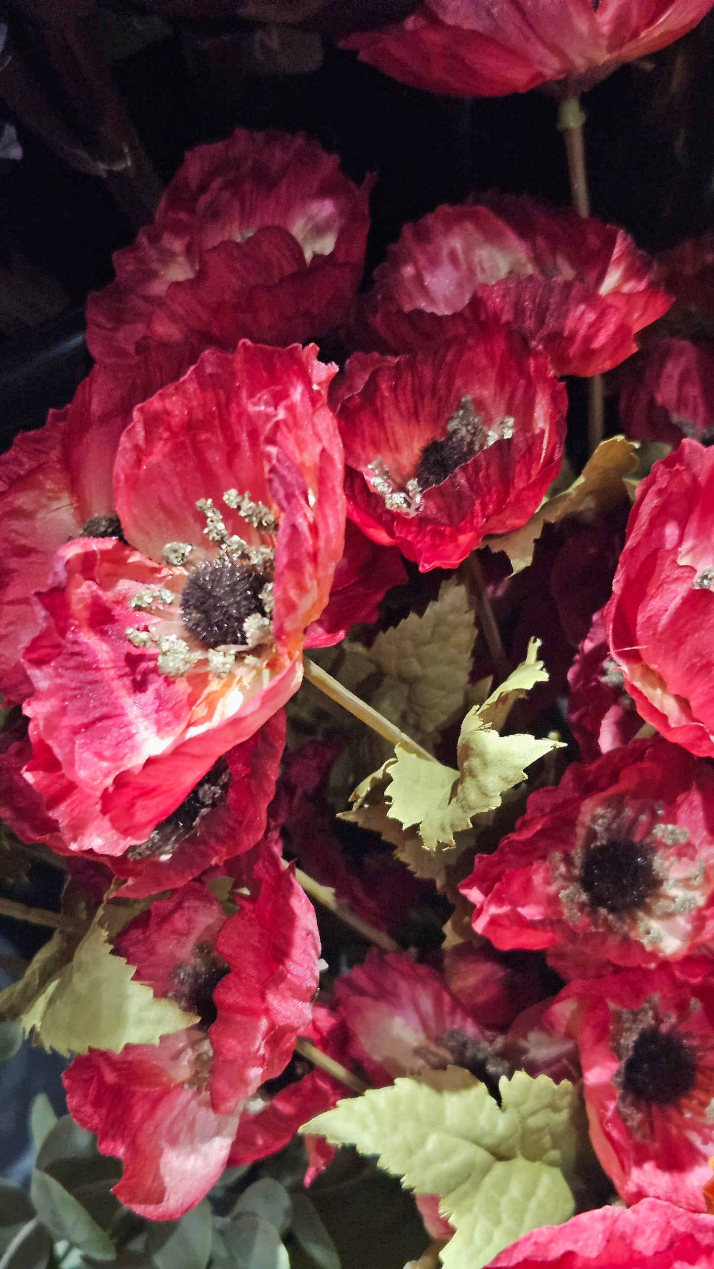 Sylxz Poppy Autumn range