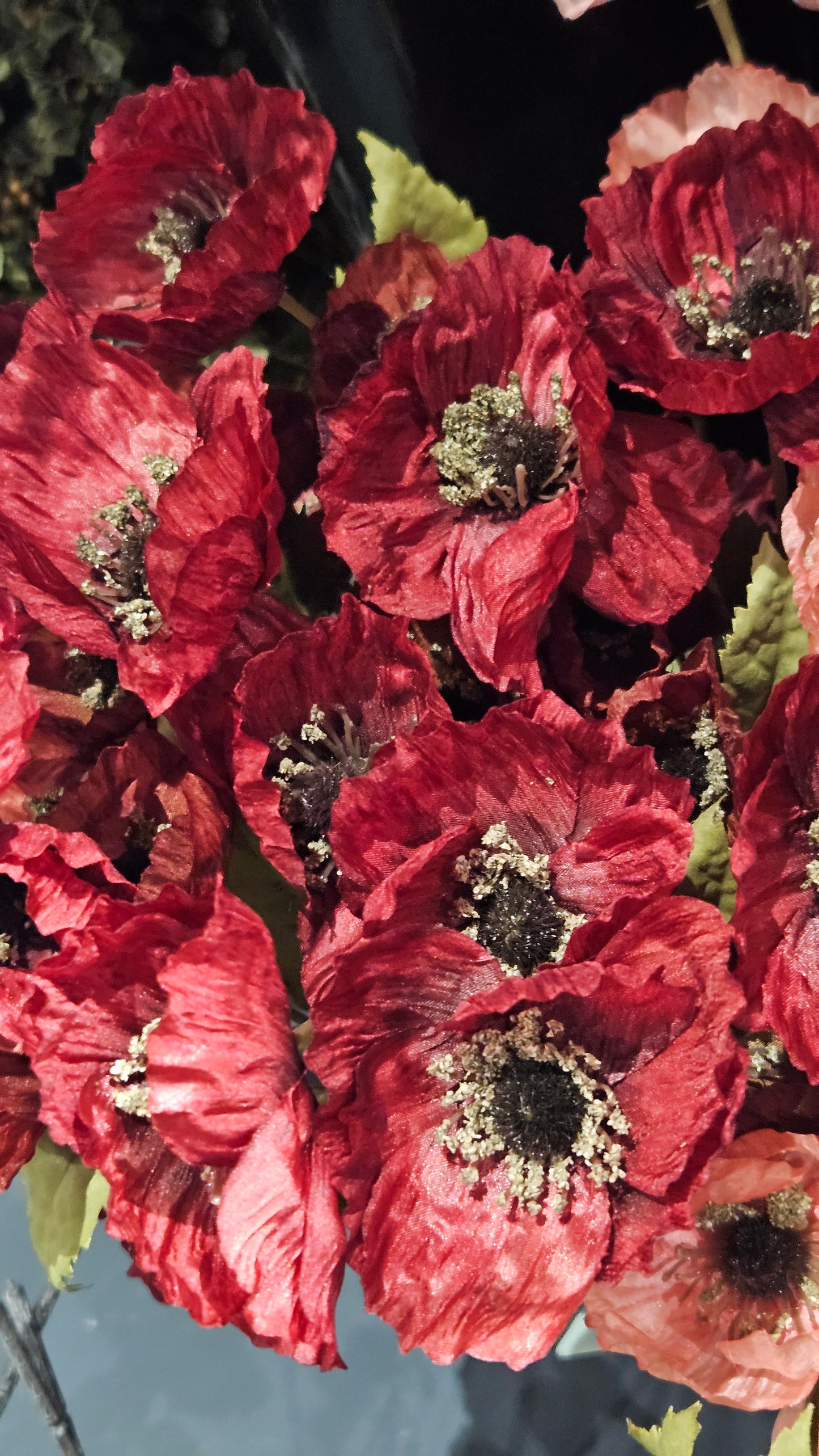 Sylxz Poppy Autumn range