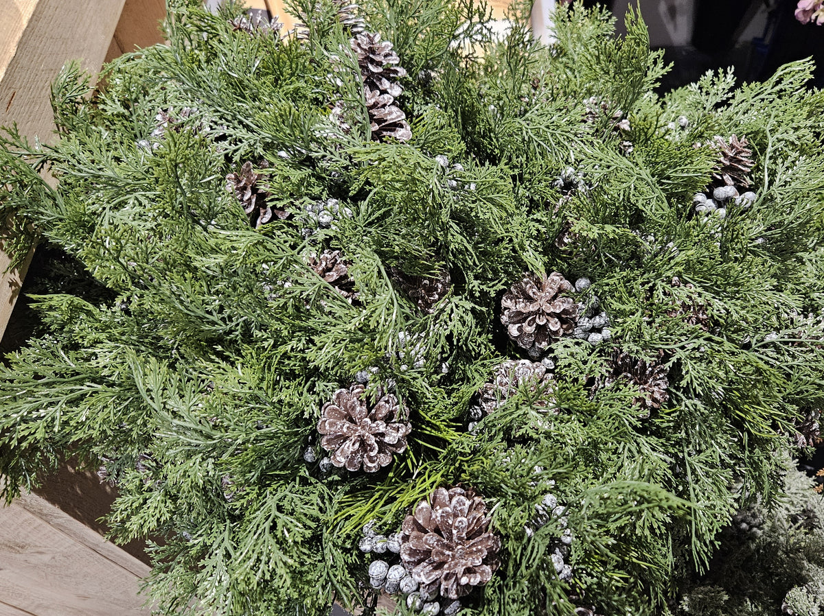 Sylxz Ceder bushes with Fructus