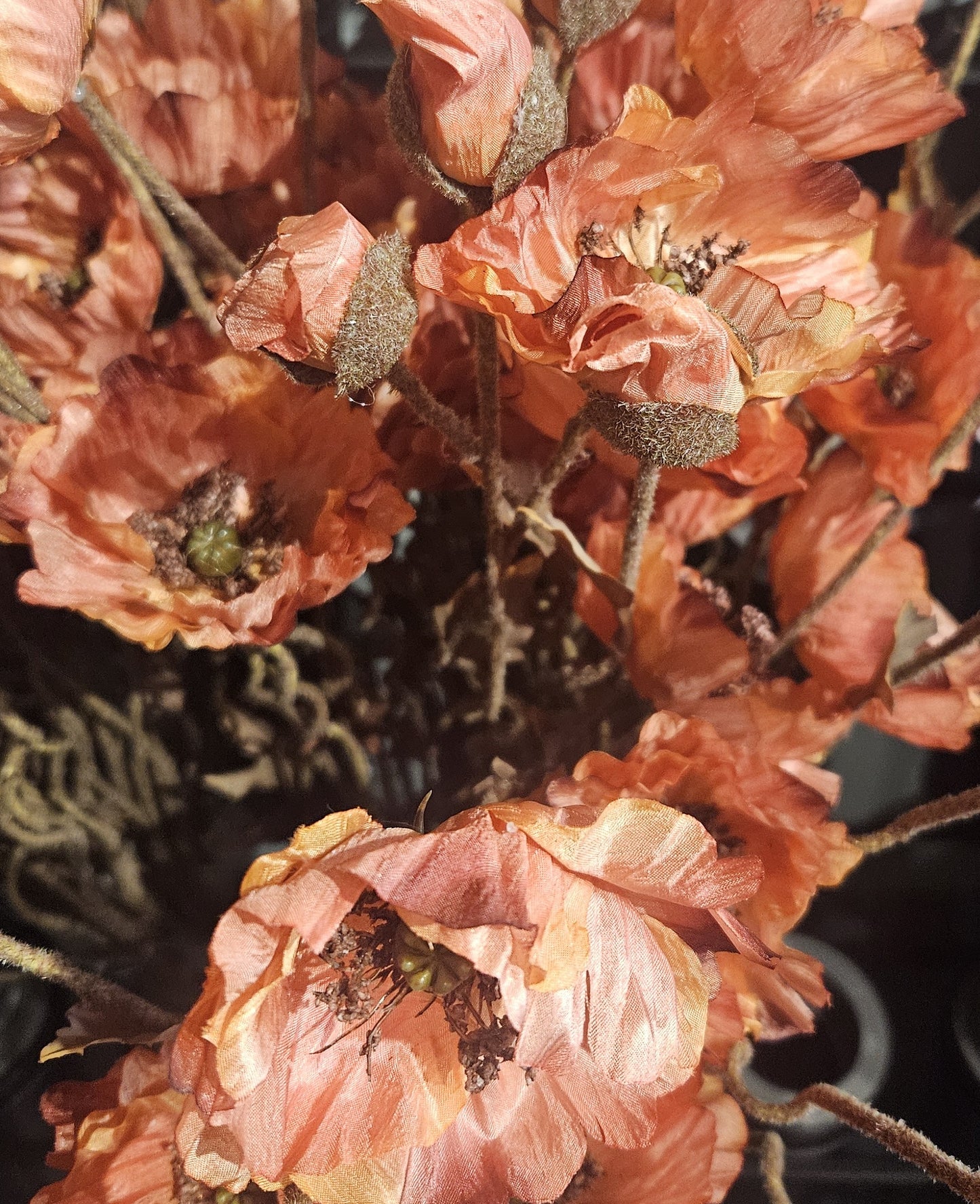 Sylxz Poppy Twist 2026