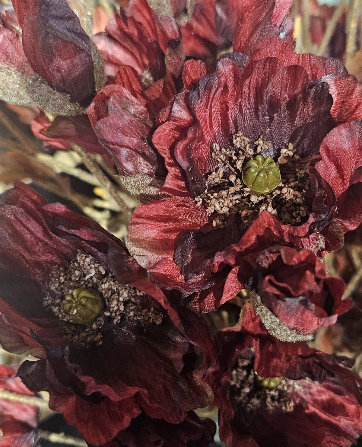 Sylxz Poppy Twist 2026