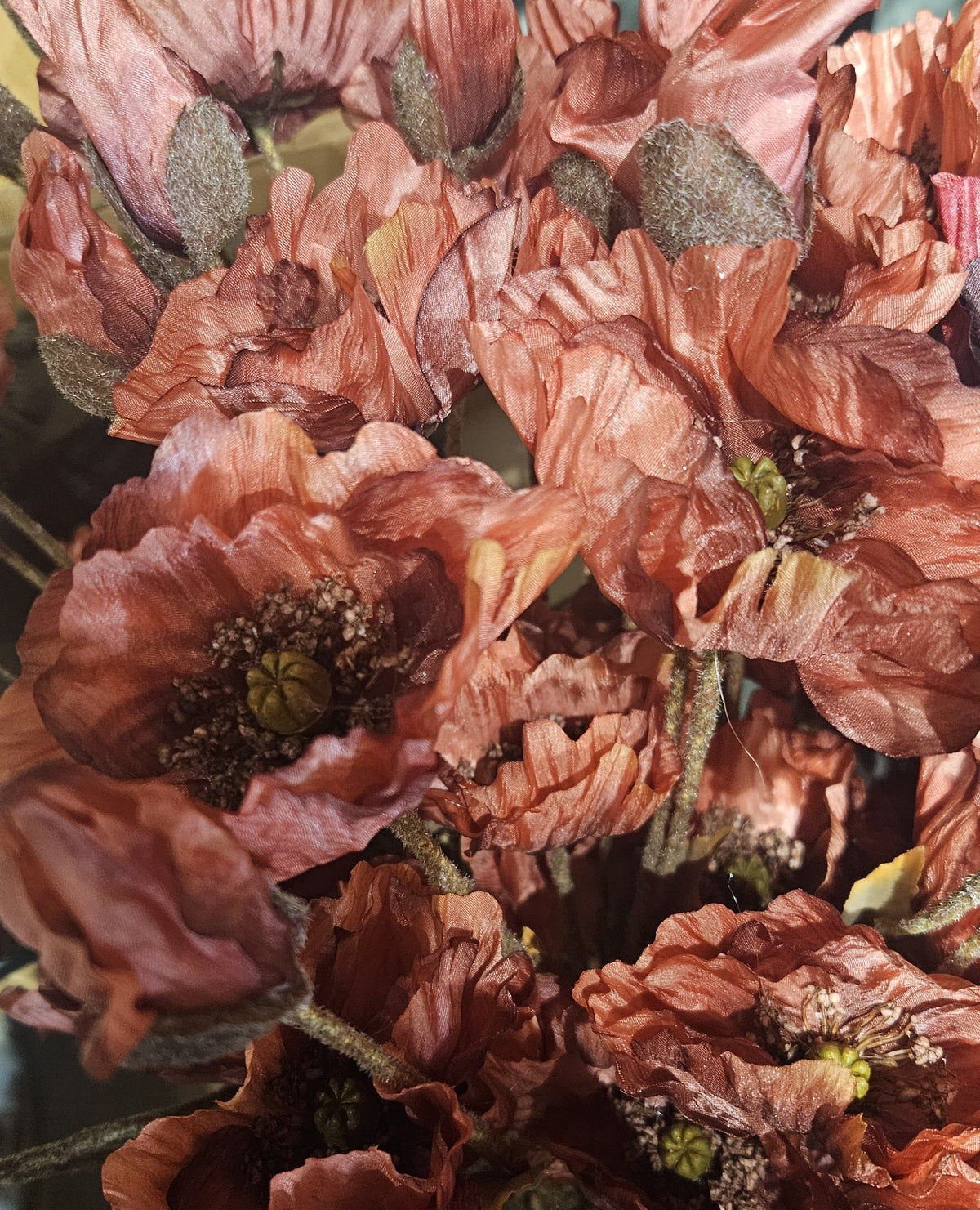 Sylxz Poppy Twist 2026