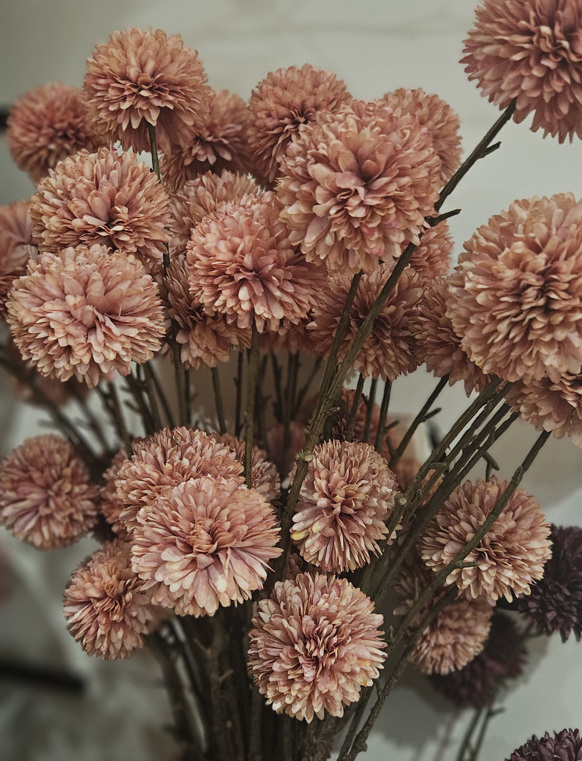 Sylxz Chrysanthemum Aurumn Grande