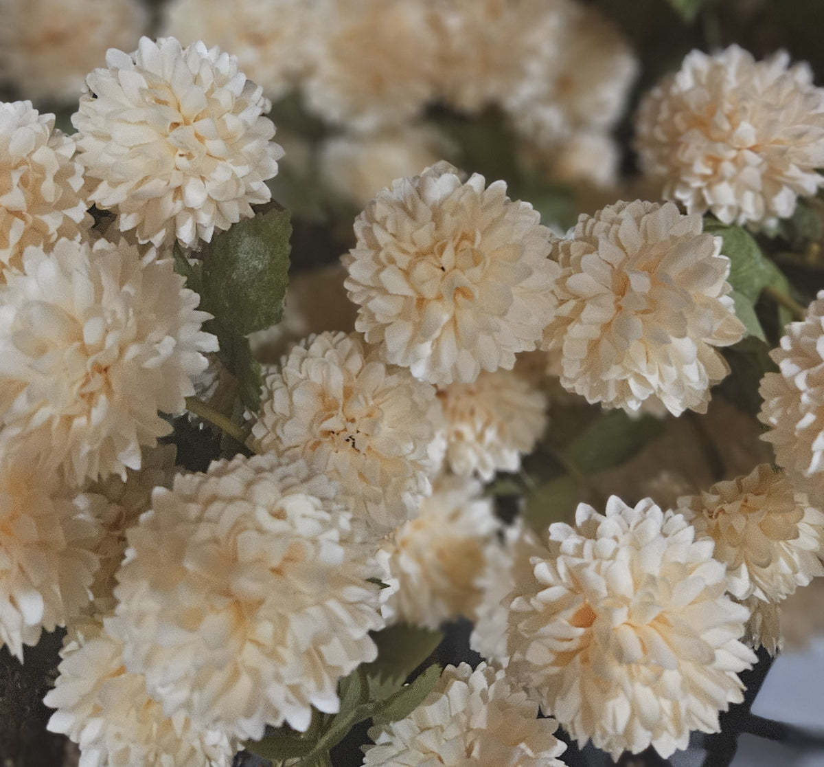 Sylxz Chrysanthemum bundel van 2 takken