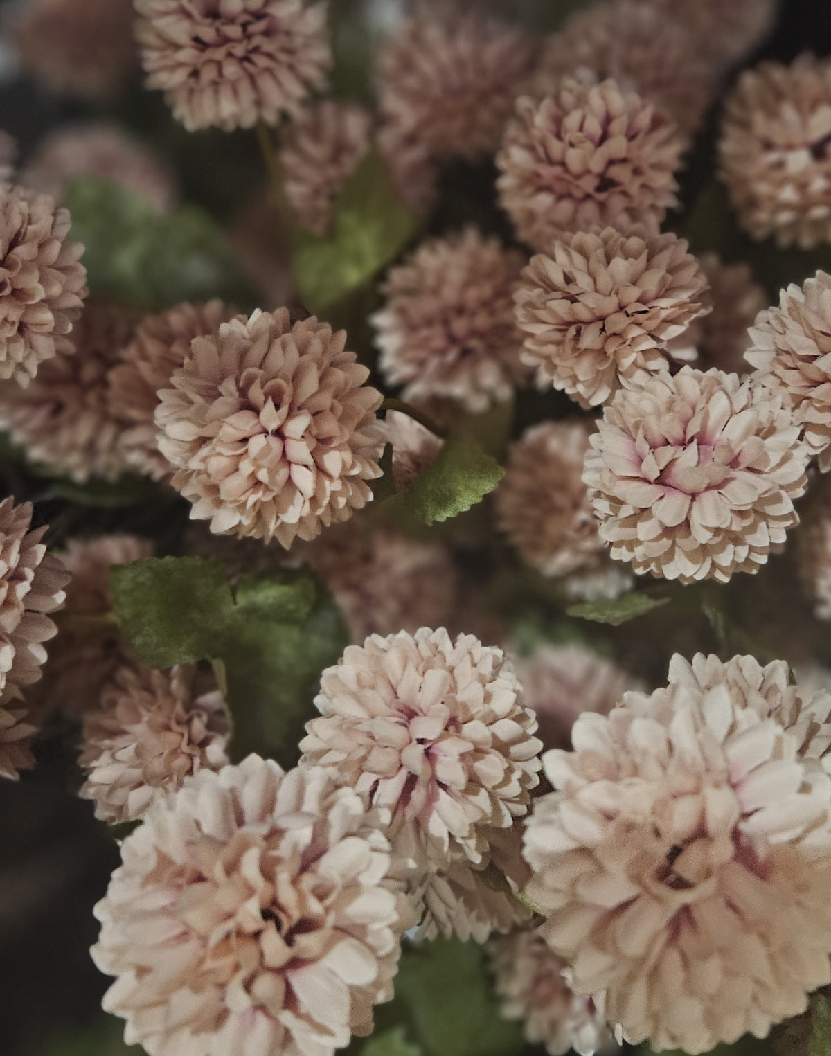 Sylxz Chrysanthemum bundel van 2 takken