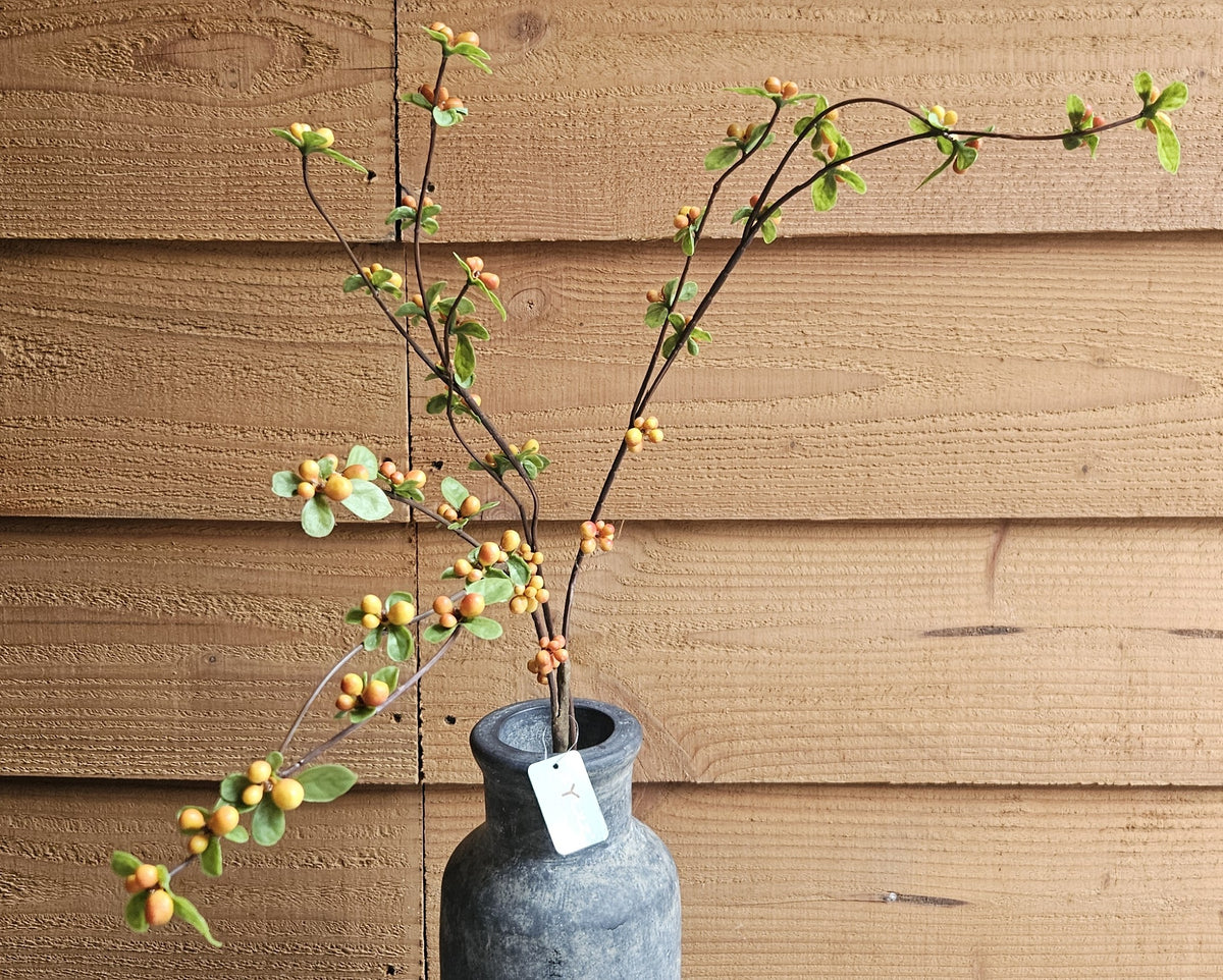 Sylxz Aronia