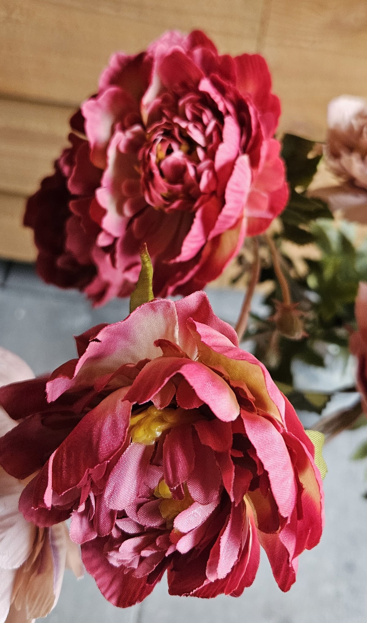 Sylxz Ranunculus