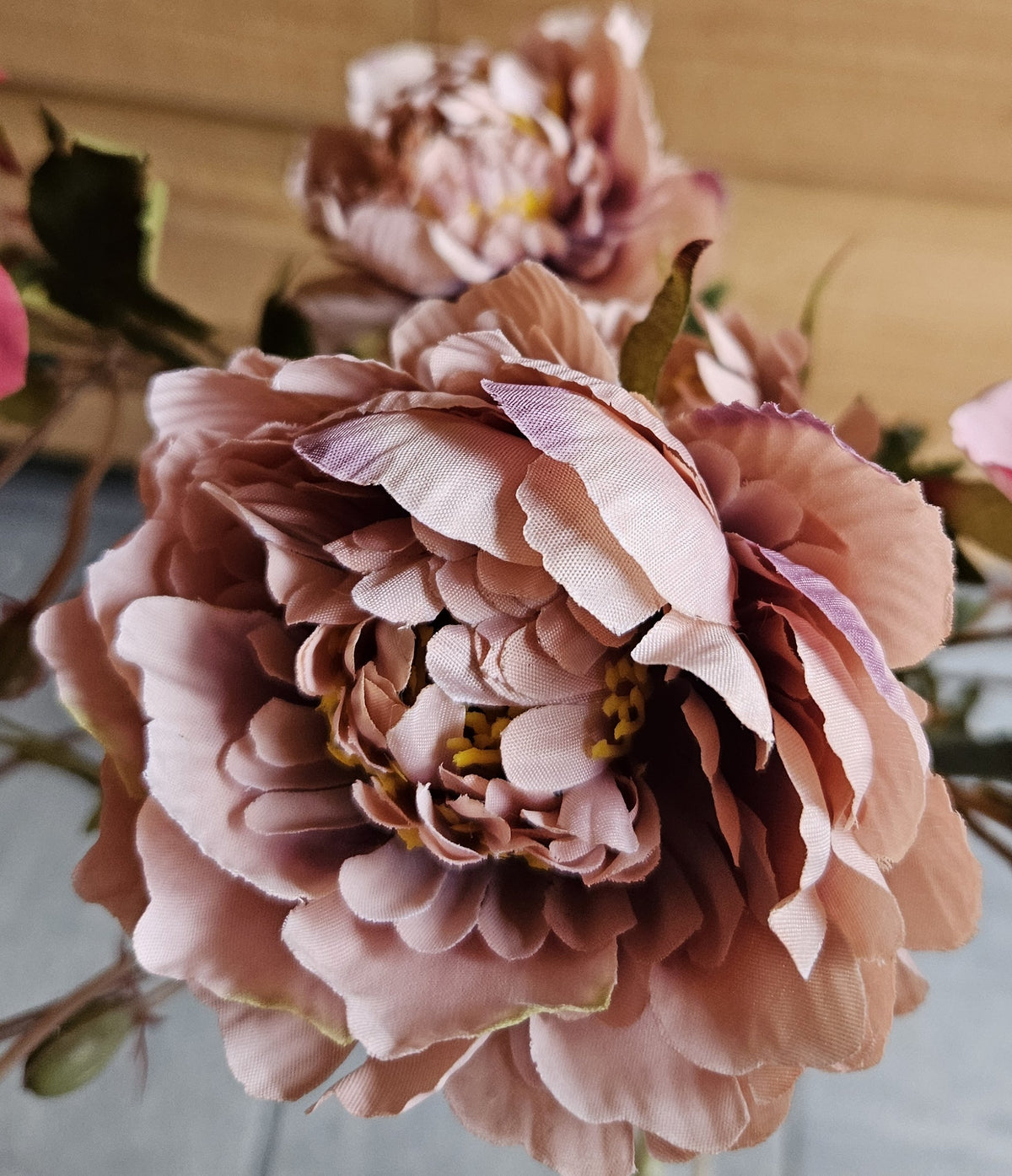 Sylxz Ranunculus