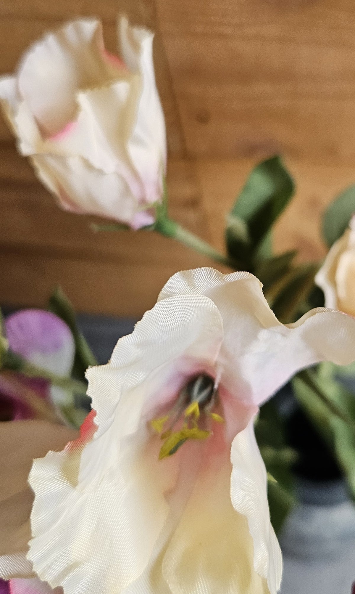 Sylxz Lysianthus
