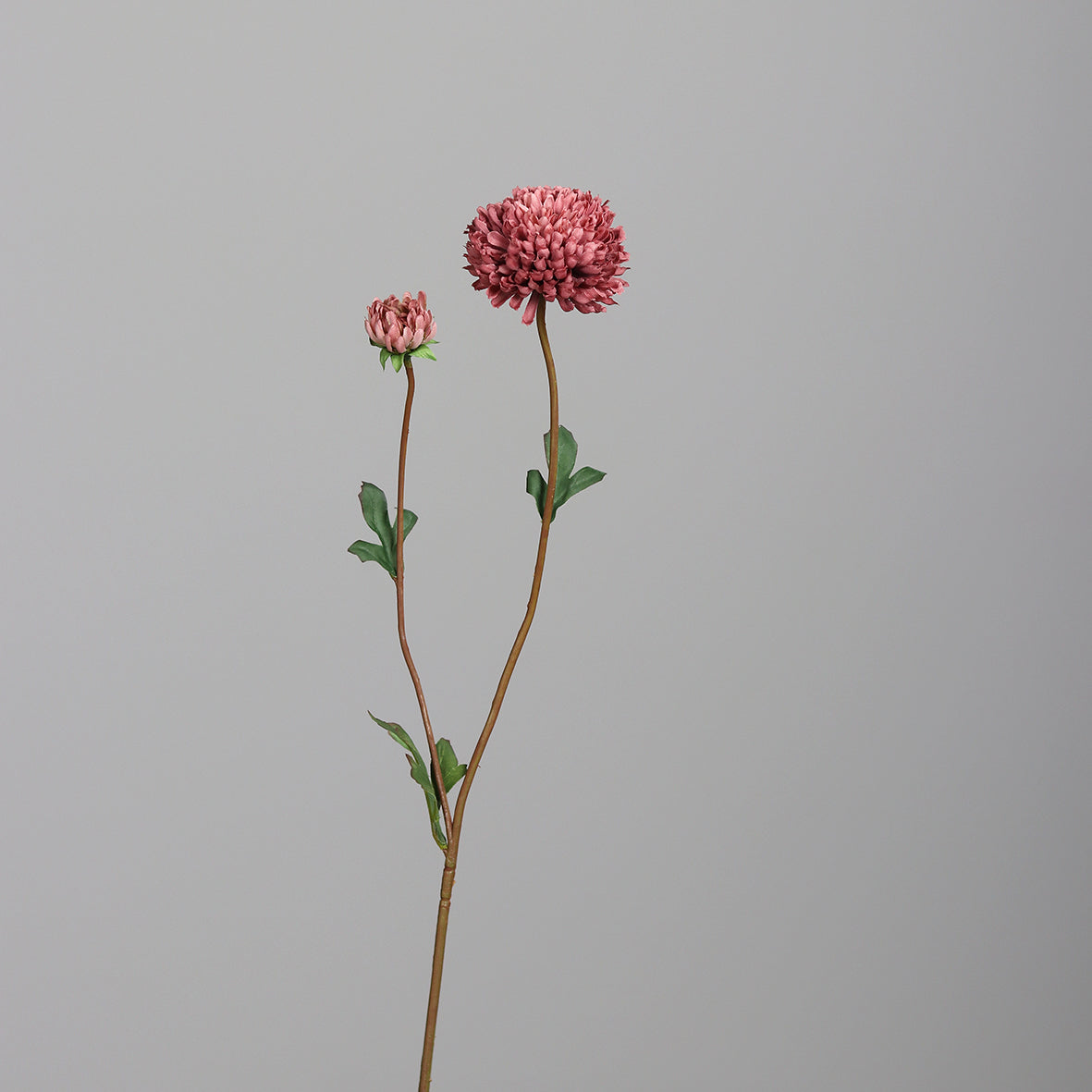 Chysanthemum 63 cm dark pink