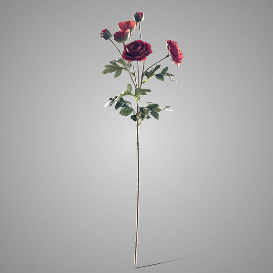 Sylxz Ranunculus Dark Orange 66 cm - Brynxz Online By O zo sfeervol