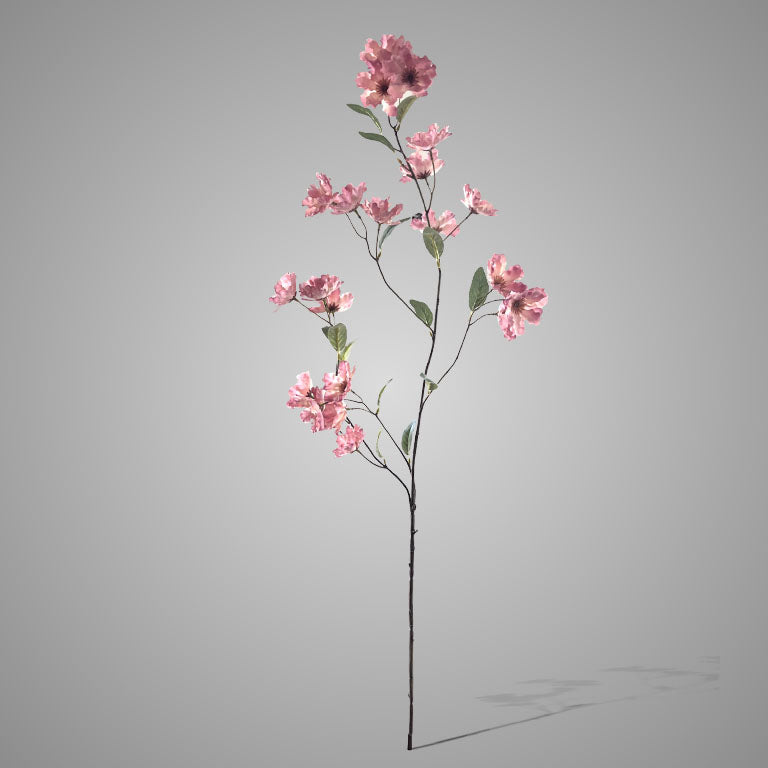 Brynxz Cornus Grande de Luxe Ant. Pink 100 cm