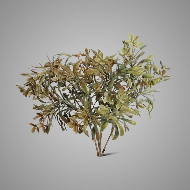 SEDUM BUSH BRONZE 30 cm