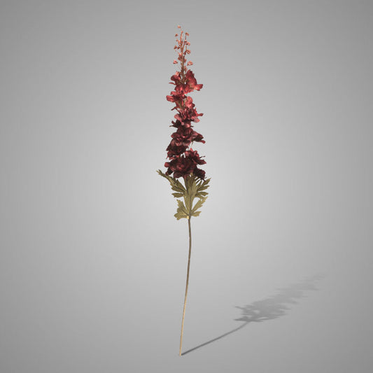 Delphinium Dark Red 79 cm