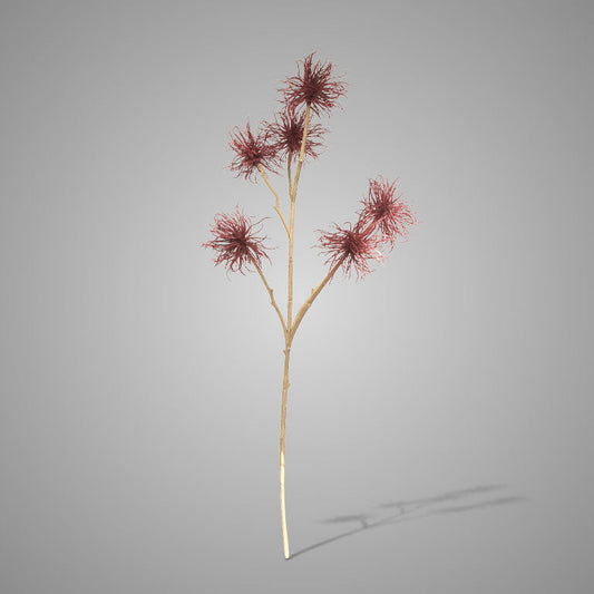 Xanthium Dark Red 81 cm