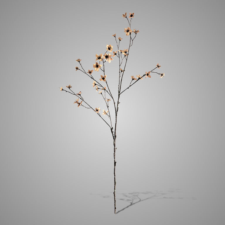 Brynxz Cornus Off White L 110 cm