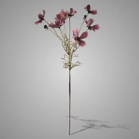 Sylxz Cornus Kousa Aubergine 67 cm Brynxz Online