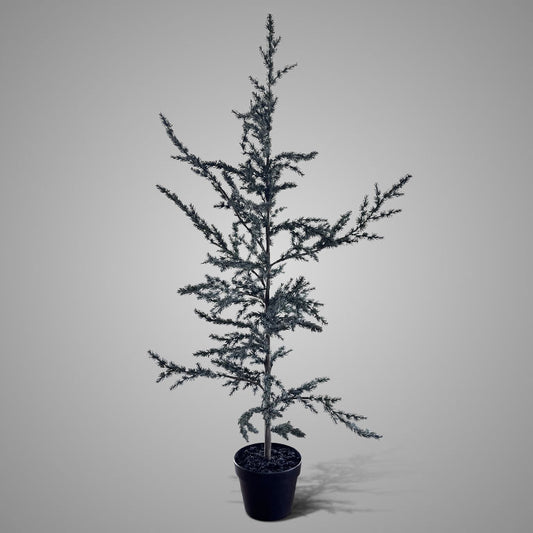 Brynxz Tree Ceder Grey M