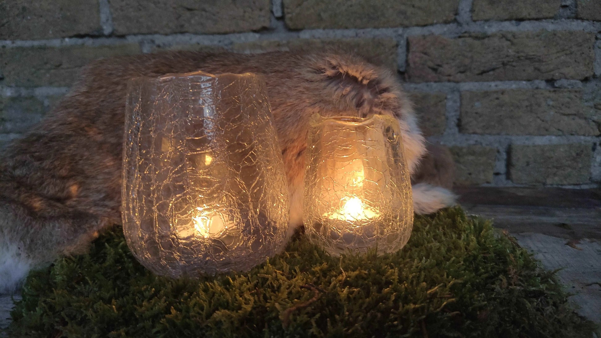 Brynxz Tealight Atmosphere Carved Clear Set van 2 – Glazen Windlicht | Brynxzonline.nl