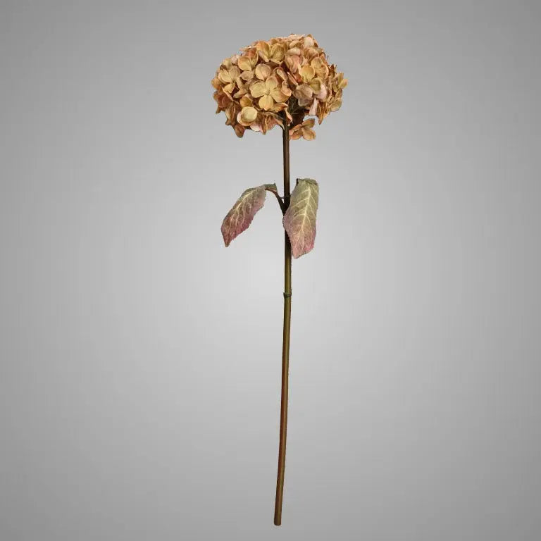 Sylxz Hydragea Creme 70 cm Brynxz Online