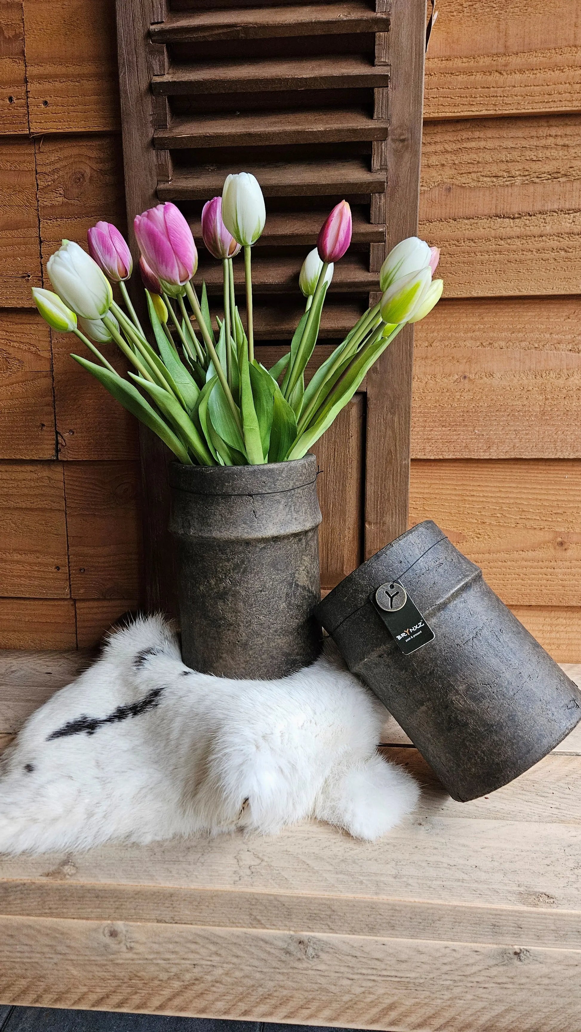 Brynxz Planter Basic Edge M Brynxz Online