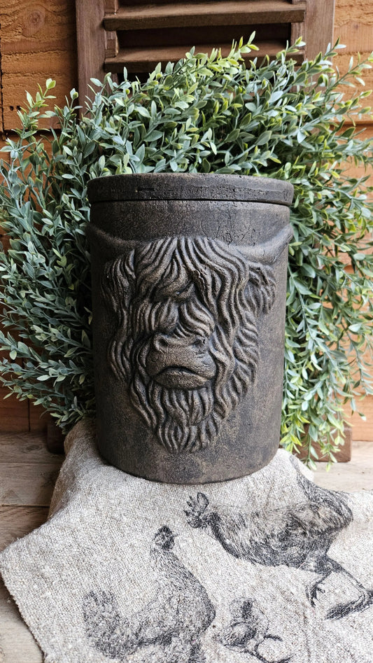 Brynxz Pot and Top Scotty Brynxz Online