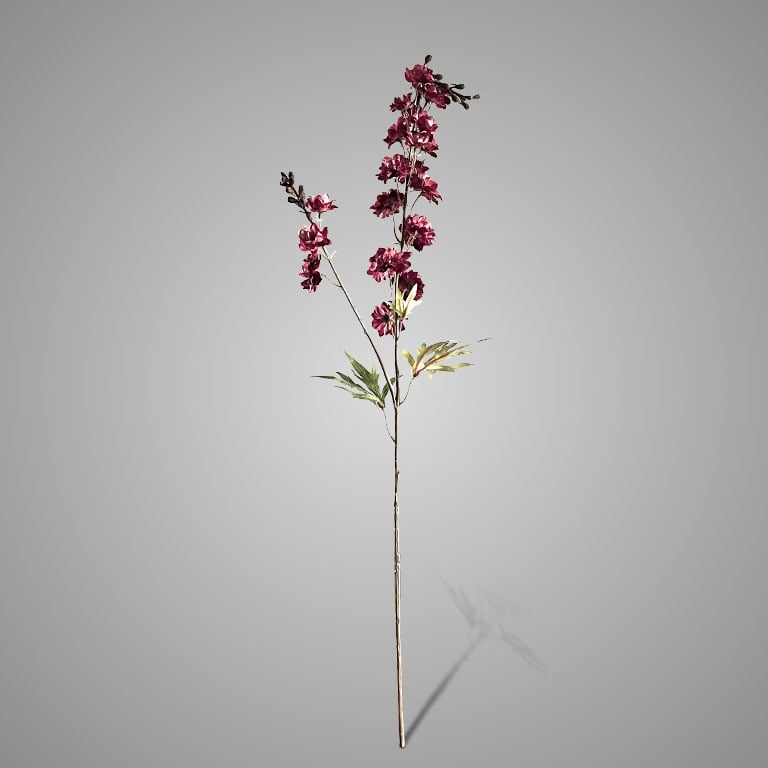 Brynxz Delphinium Burgundy 90 cm